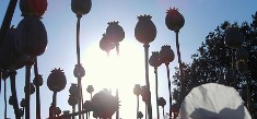 Ода Русскому. Эклектика